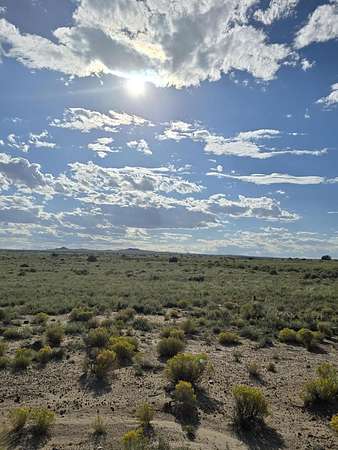 0.31 Acres of Residential Land for Sale in Albuquerque, New Mexico