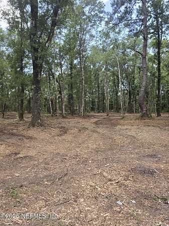 1.46 Acres of Residential Land for Sale in Hastings, Florida