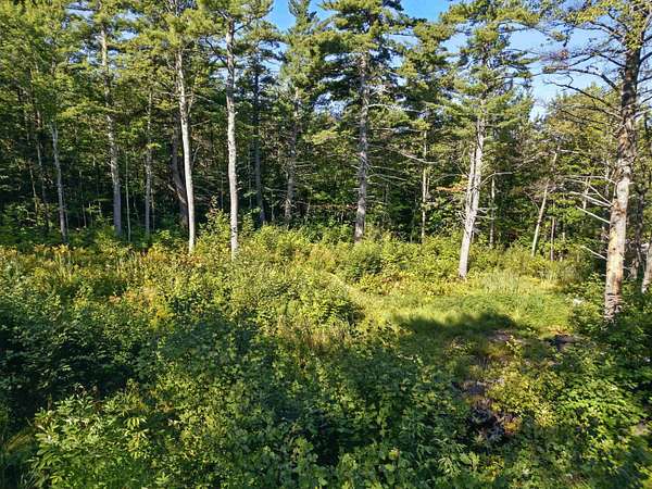 0.76 Acres of Residential Land for Sale in Gilford, New Hampshire