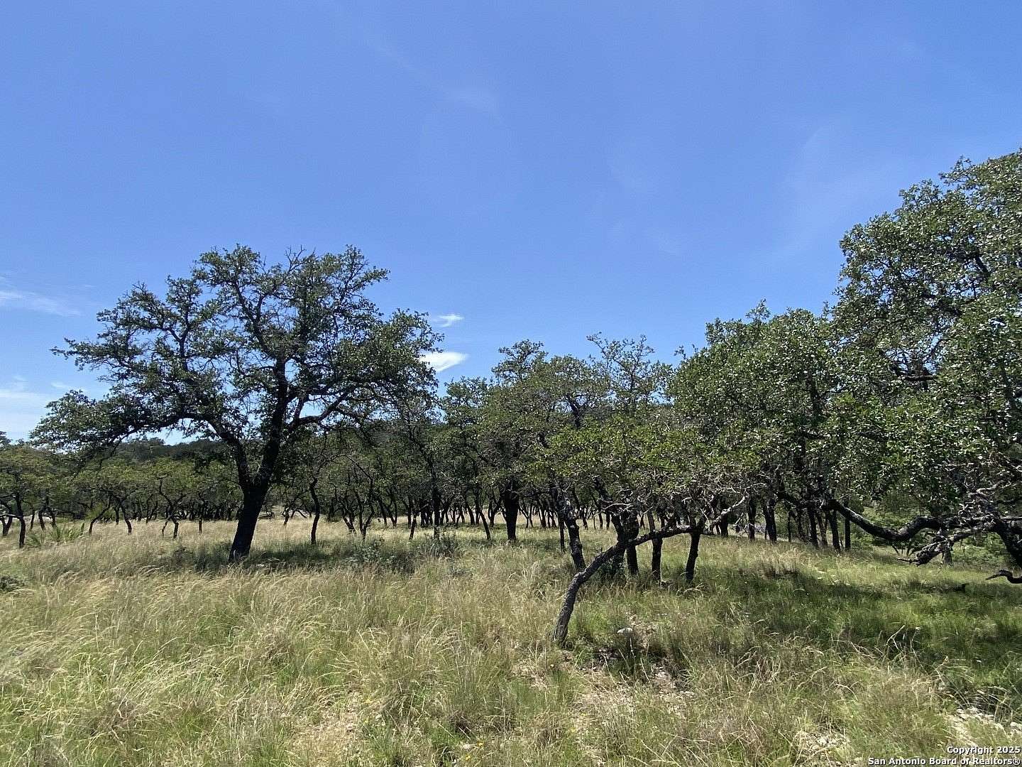 10.9 Acres of Land for Sale in Comfort, Texas