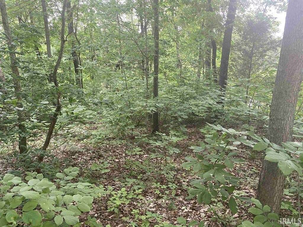 0.32 Acres of Residential Land for Sale in Santa Claus, Indiana