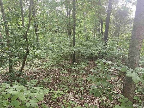 0.32 Acres of Residential Land for Sale in Santa Claus, Indiana