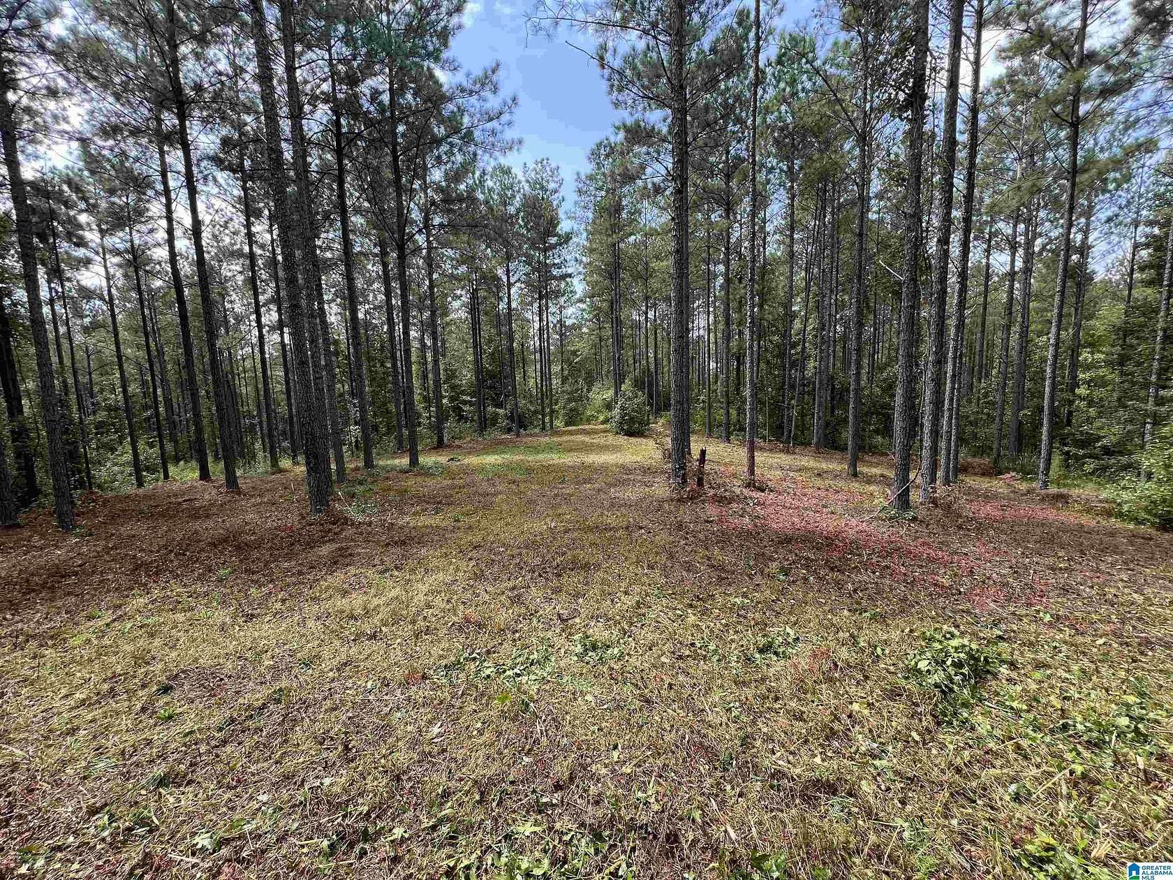 7.7 Acres of Land for Sale in Cropwell, Alabama