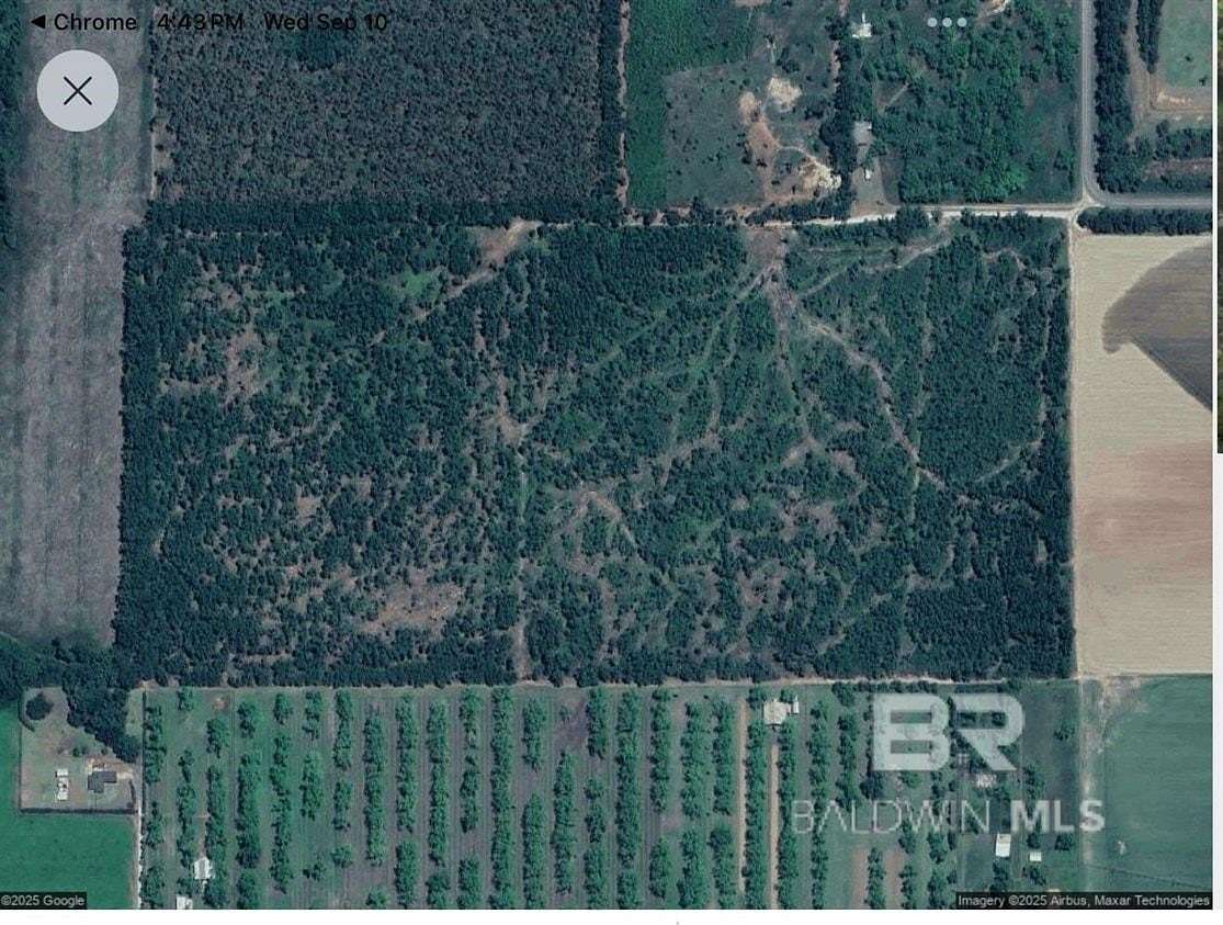 81.6 Acres of Land for Sale in Summerdale, Alabama