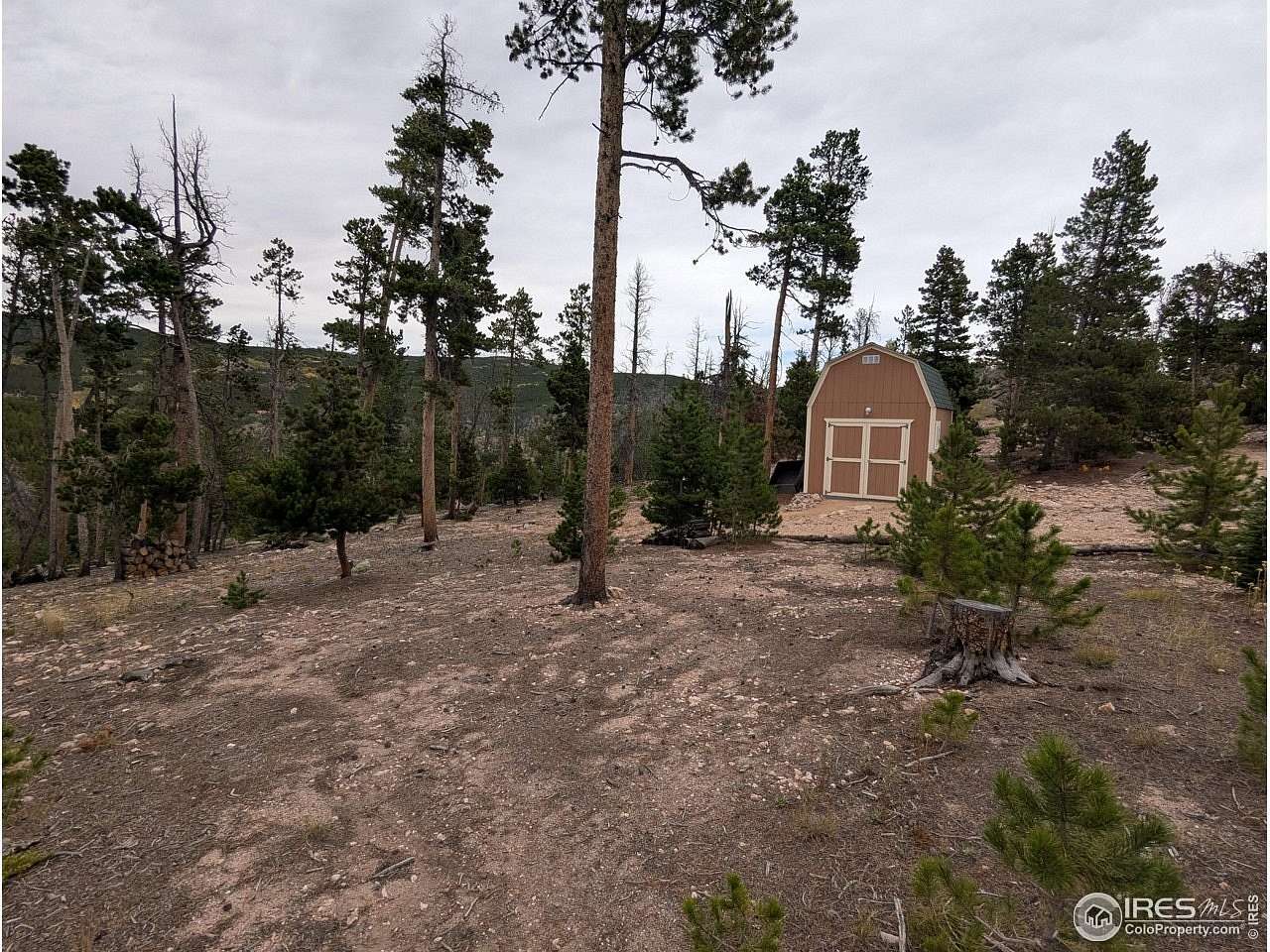 1.29 Acres of Land for Sale in Red Feather Lakes, Colorado