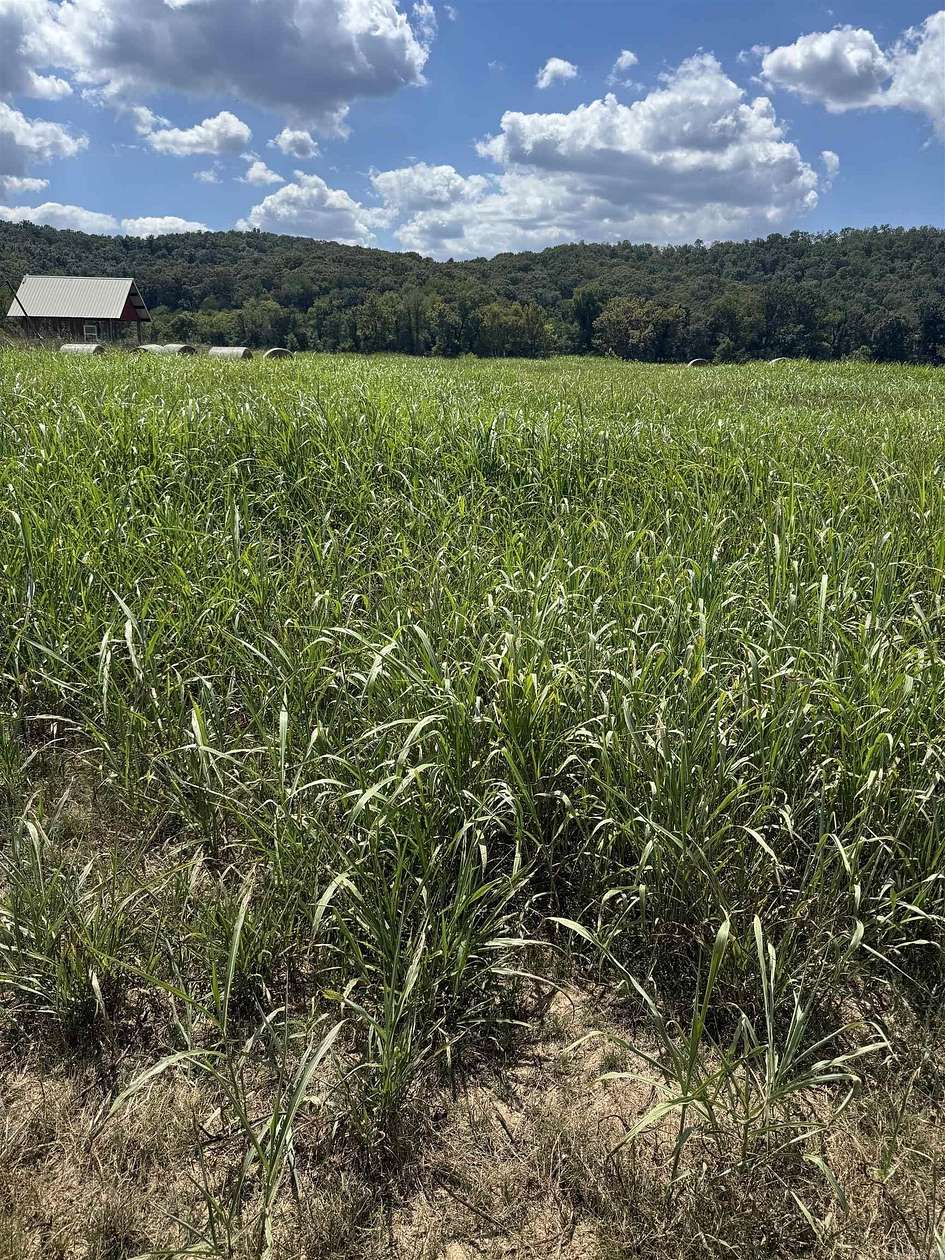 2.37 Acres of Land for Sale in Guion, Arkansas