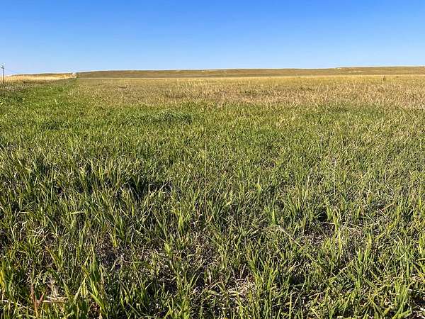 323 Acres of Land for Sale in Harrisburg, Nebraska