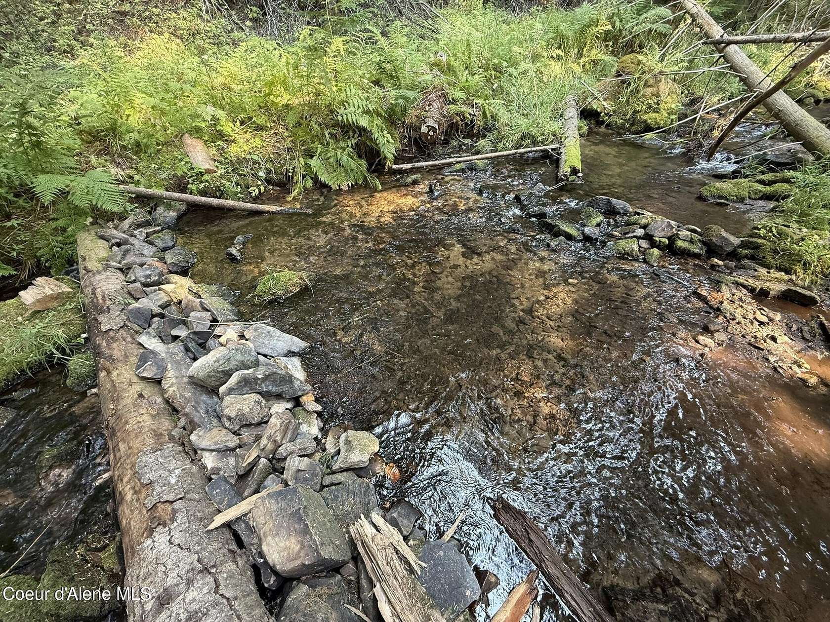 11 Acres of Recreational Land for Sale in Fernwood, Idaho