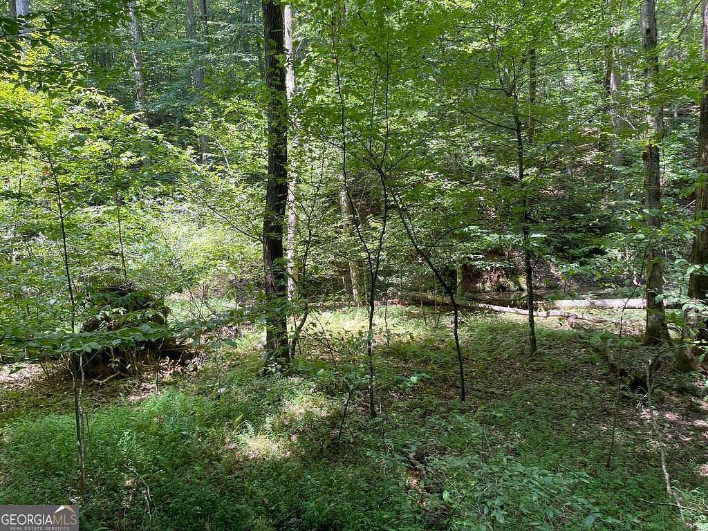 0.75 Acres of Land for Sale in Ellijay, Georgia
