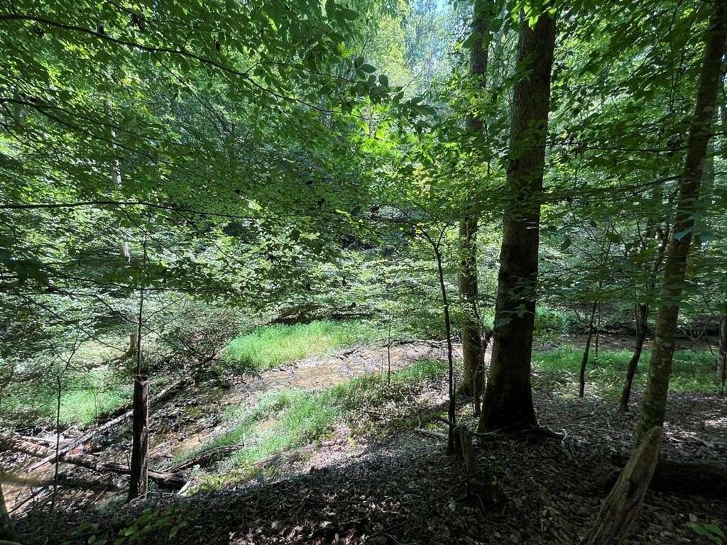0.75 Acres of Residential Land for Sale in Ellijay, Georgia