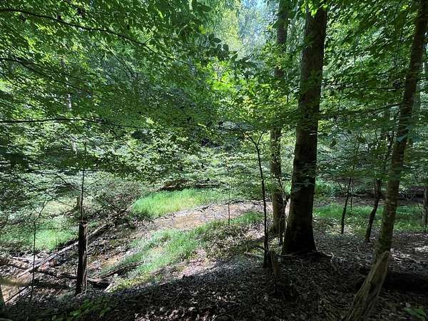 0.75 Acres of Residential Land for Sale in Ellijay, Georgia