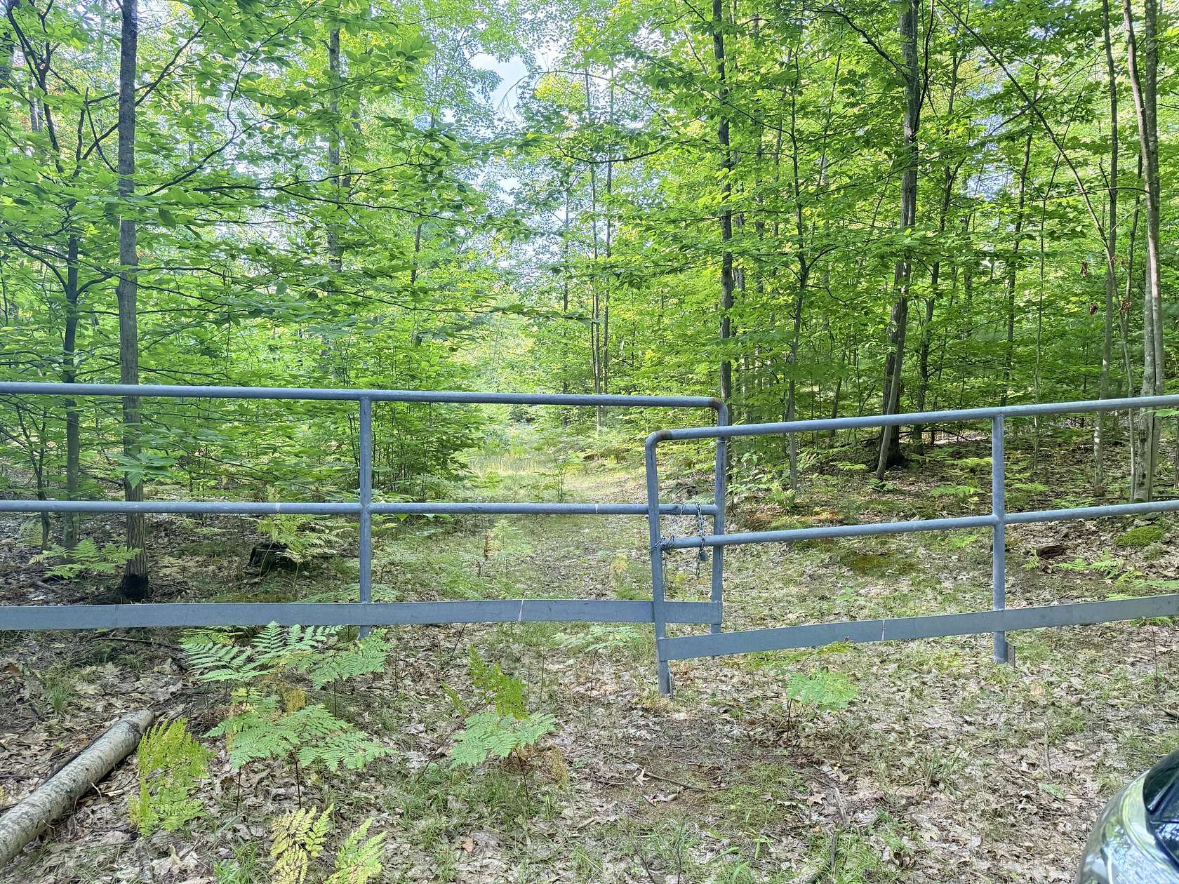 40 Acres of Recreational Land for Sale in Luther, Michigan