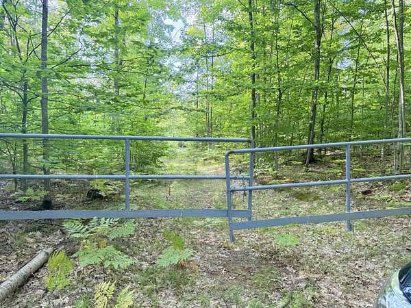 40 Acres of Recreational Land for Sale in Luther, Michigan