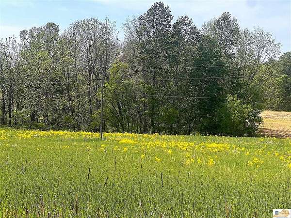 4.56 Acres of Residential Land for Sale in Columbia, Kentucky