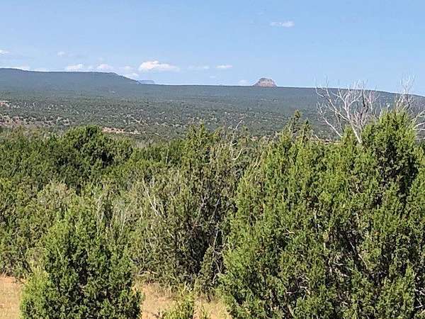 2.5 Acres of Residential Land for Sale in Sena, New Mexico