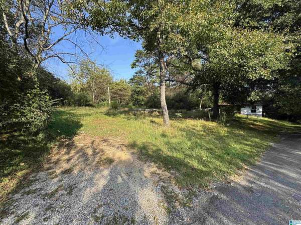 1 Acre of Residential Land for Sale in Piedmont, Alabama