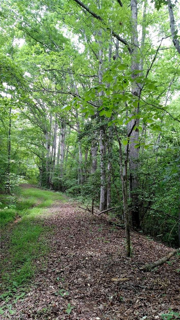 47 Acres of Land for Sale in Iron Station, North Carolina