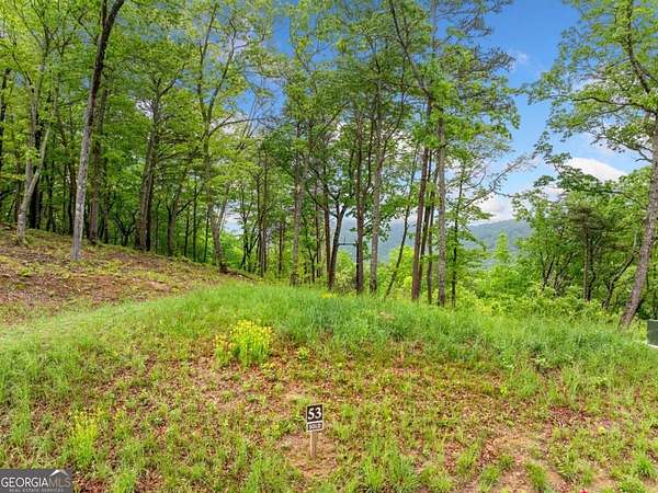 1.63 Acres of Residential Land for Sale in Talking Rock, Georgia