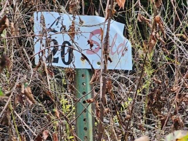 10 Acres of Residential Land for Sale in Jamestown, Tennessee