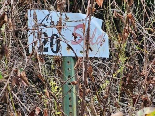 10 Acres of Residential Land for Sale in Jamestown, Tennessee