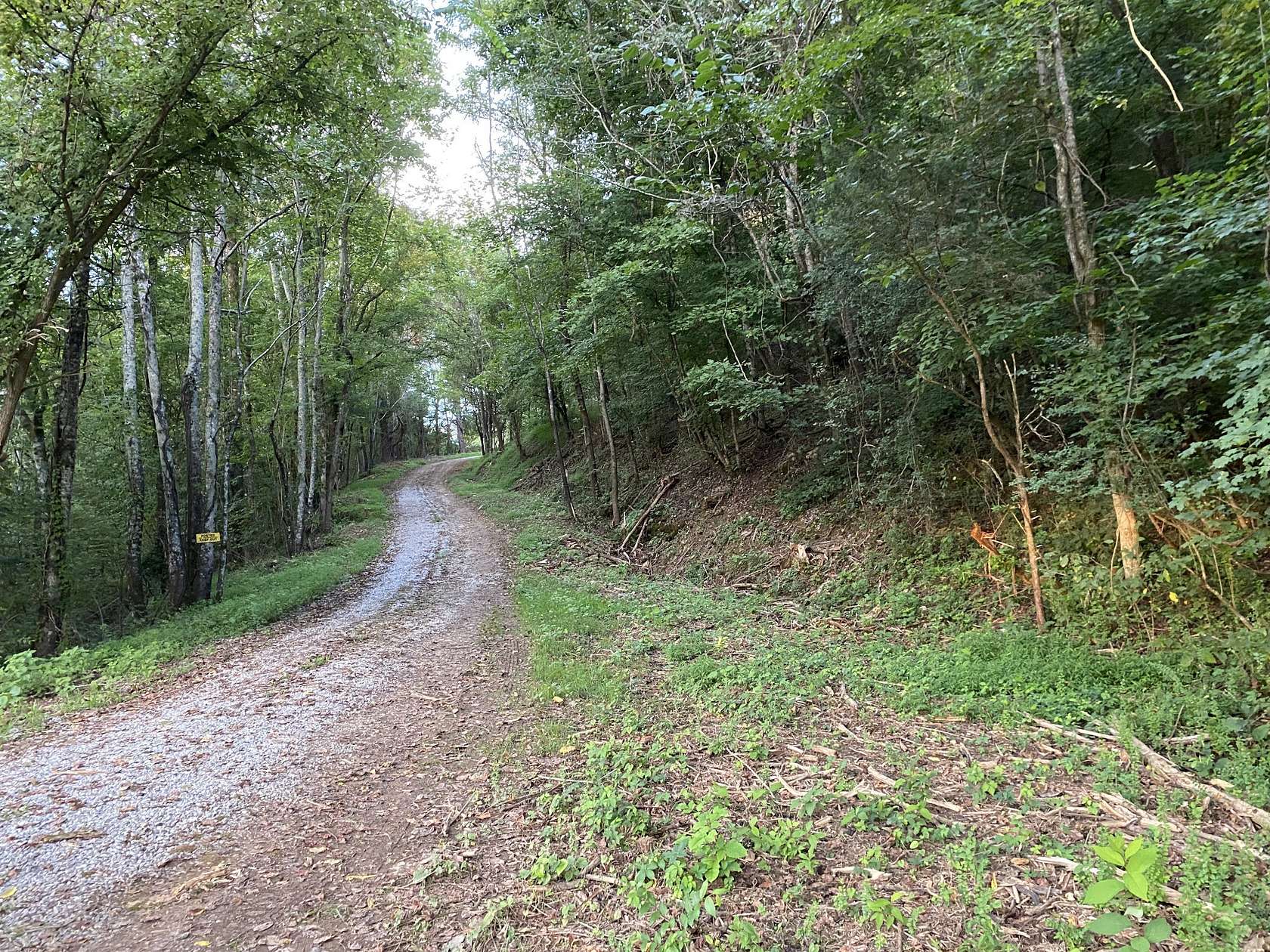 16.2 Acres of Recreational Land for Sale in Pulaski, Tennessee