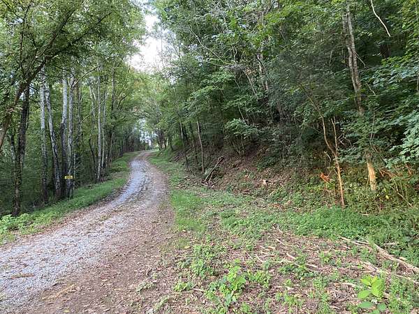 16.2 Acres of Recreational Land for Sale in Pulaski, Tennessee