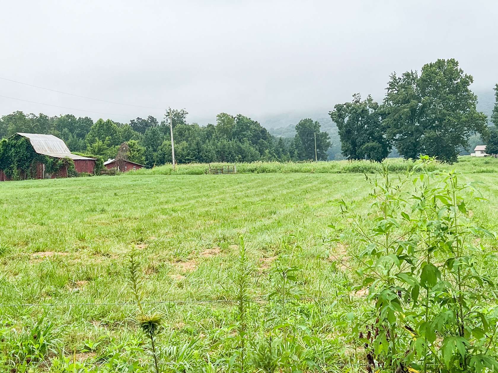 24.2 Acres of Agricultural Land for Auction in Decherd, Tennessee