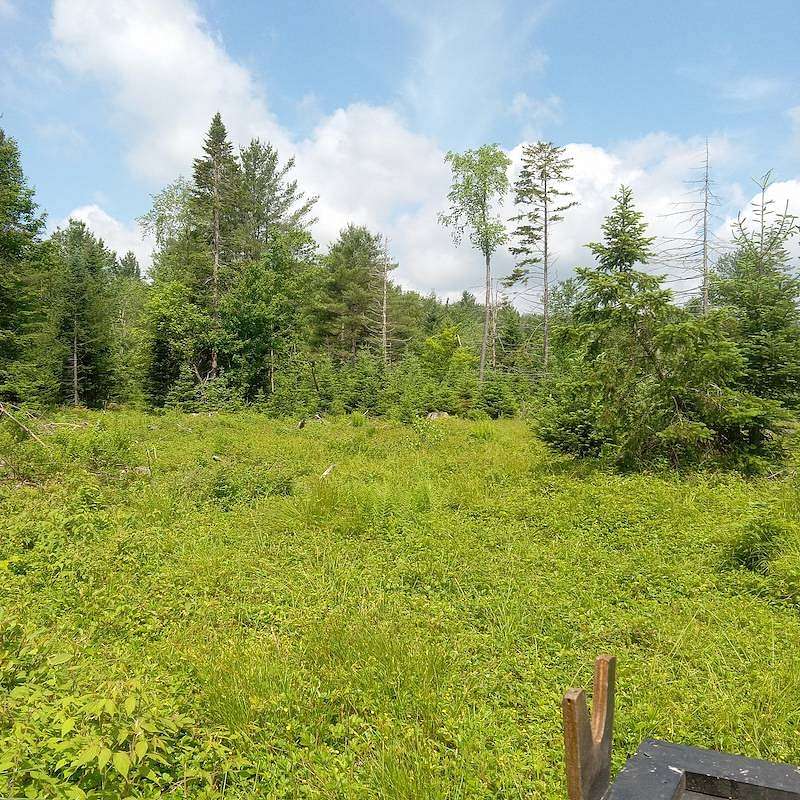 17 Acres of Recreational Land for Sale in Dolgeville, New York