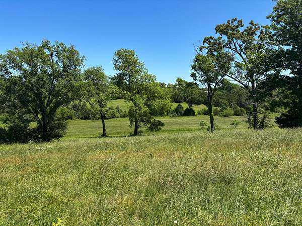 65 Acres of Recreational Land & Farm for Sale in Theodosia, Missouri