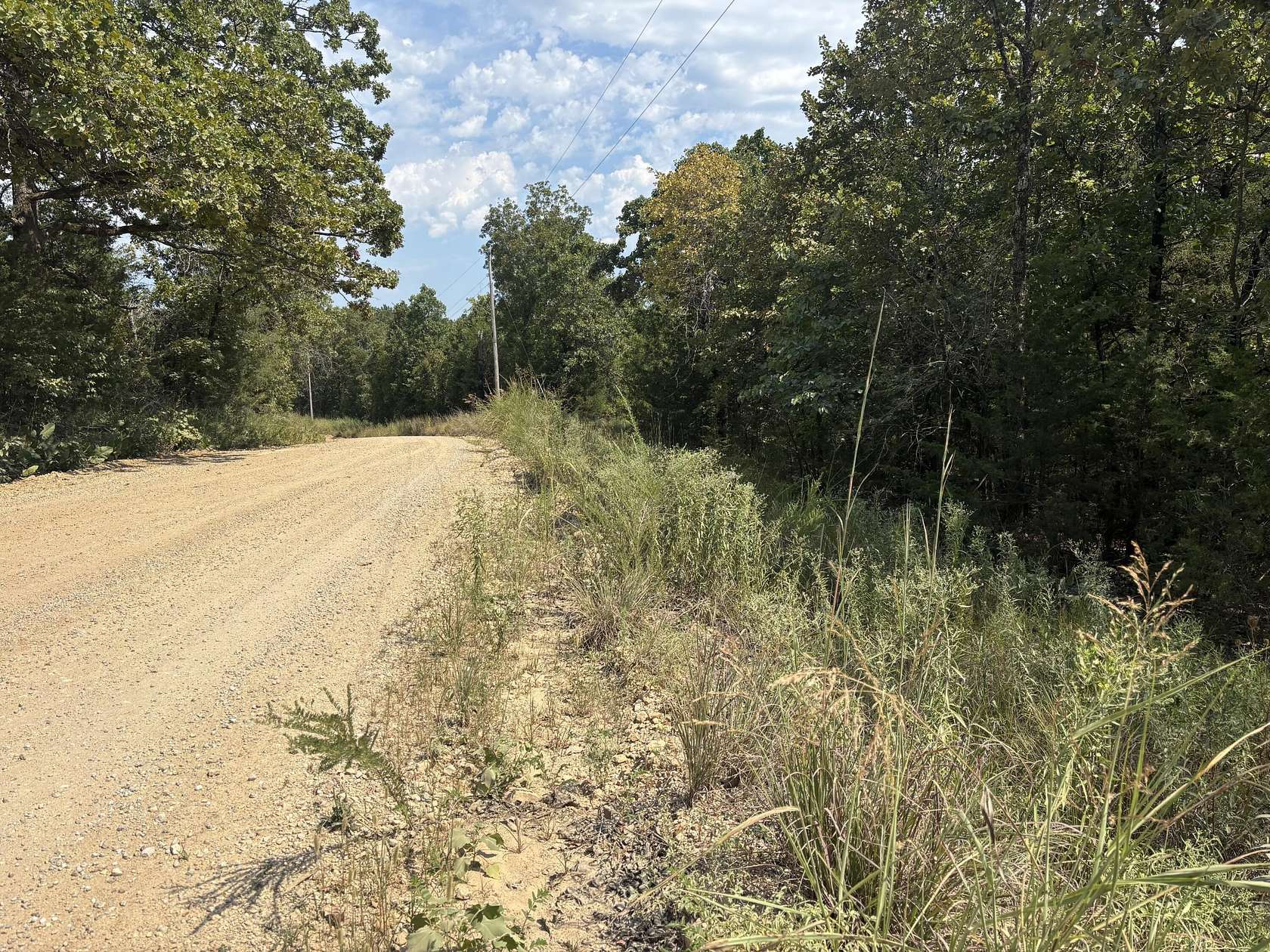 15.4 Acres of Land for Sale in Gainesville, Missouri