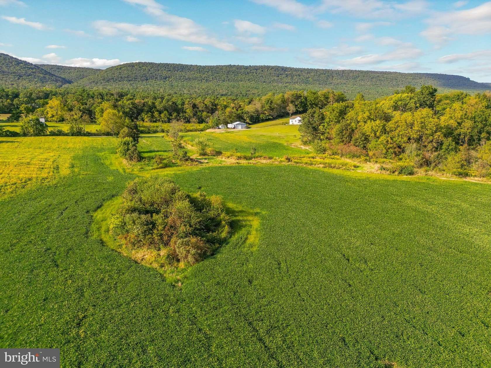 12 Acres of Land for Auction in Beavertown, Pennsylvania