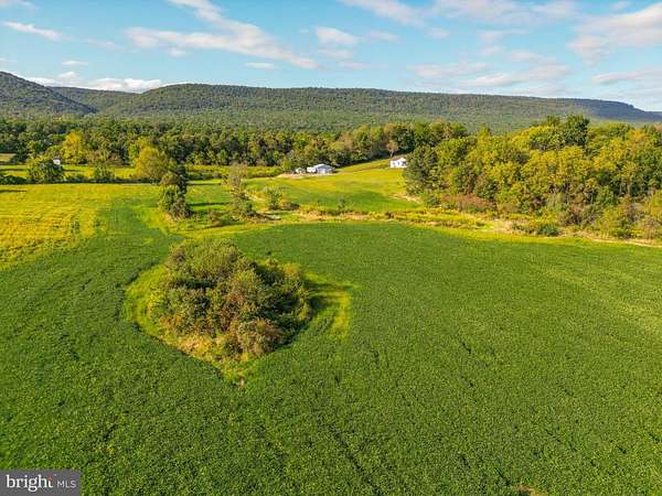 12 Acres of Land for Auction in Beavertown, Pennsylvania