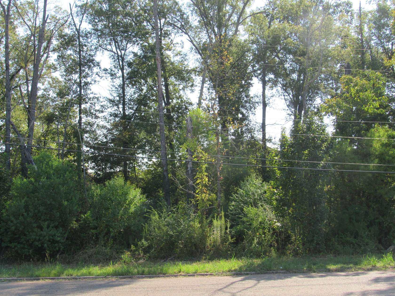 1 Acre of Commercial Land for Sale in Columbus, Mississippi