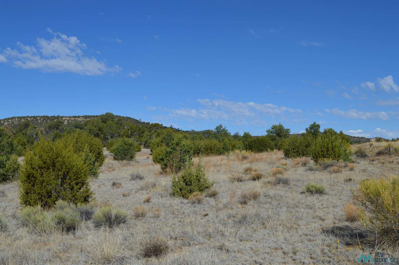 10.6 Acres of Recreational Land for Sale in Fence Lake, New Mexico