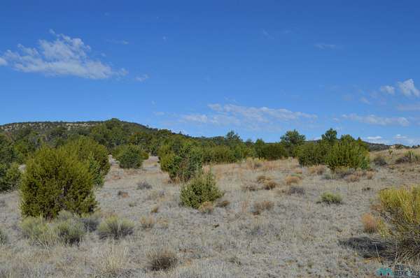 10.6 Acres of Recreational Land for Sale in Fence Lake, New Mexico