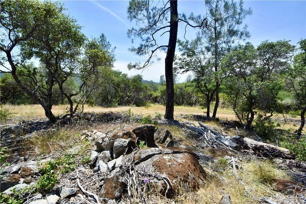 19.5 Acres of Land for Sale in Oroville, California
