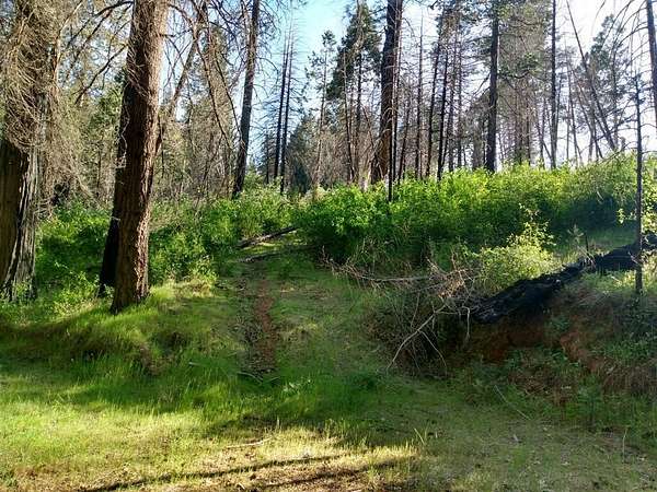 2 Acres of Residential Land for Sale in Mountain Ranch, California