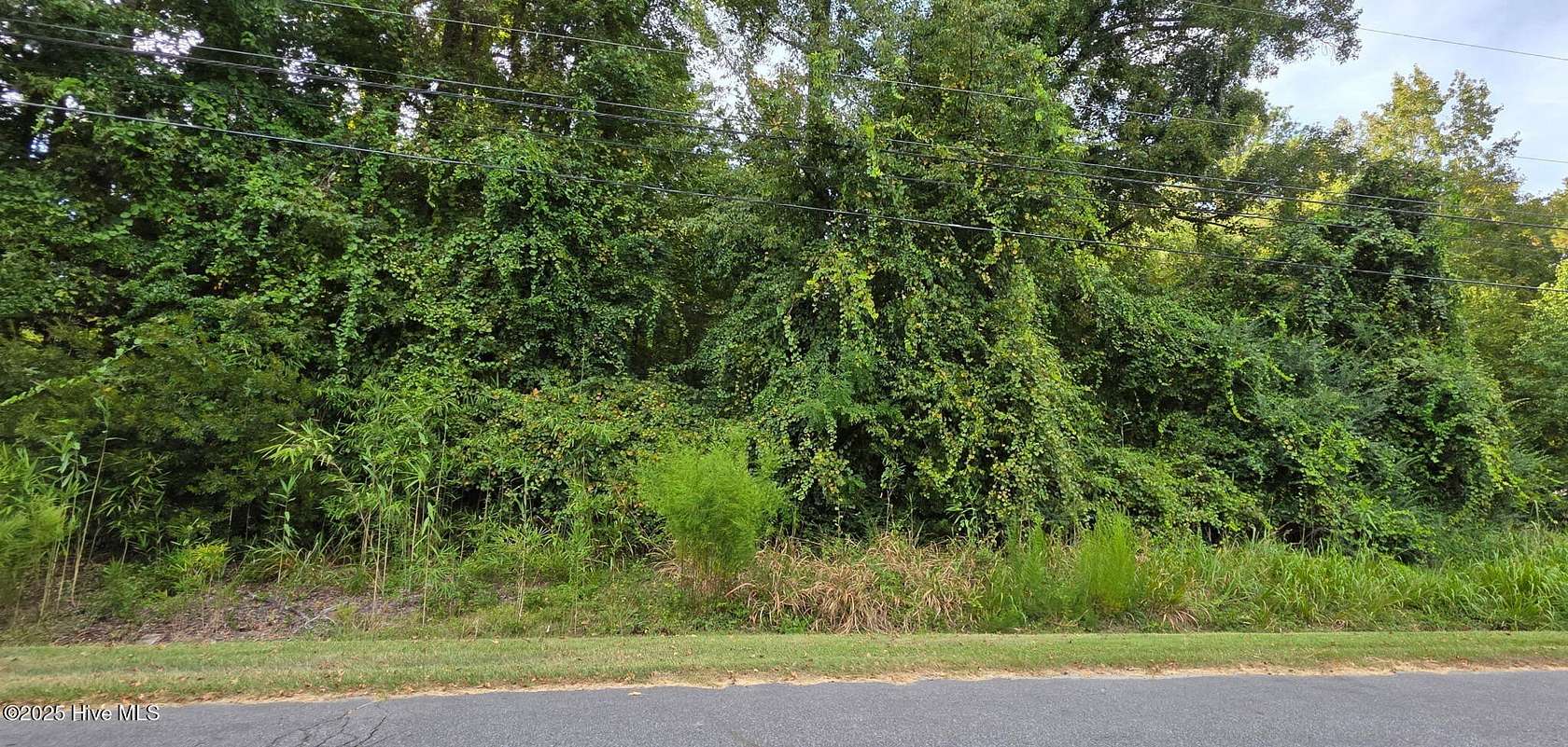 0.4 Acres of Residential Land for Sale in Grifton, North Carolina