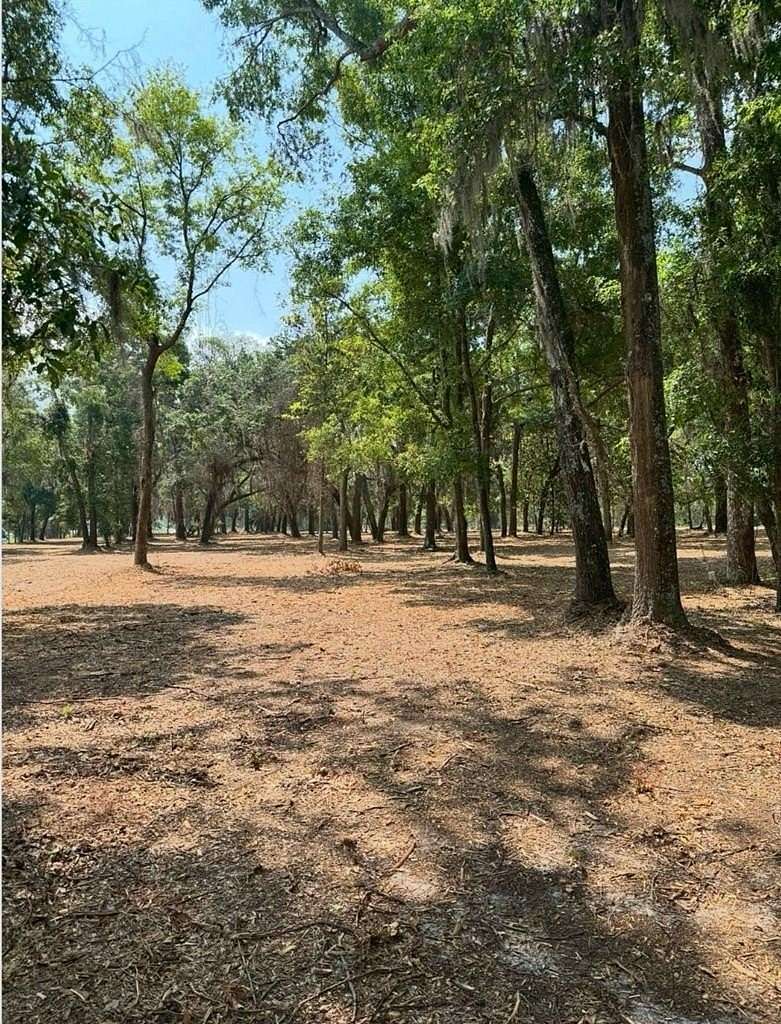 2.72 Acres of Mixed-Use Land for Sale in Lake Park, Georgia