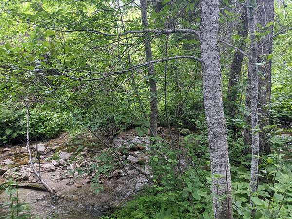 40 Acres of Land for Sale in Aeneas, Washington