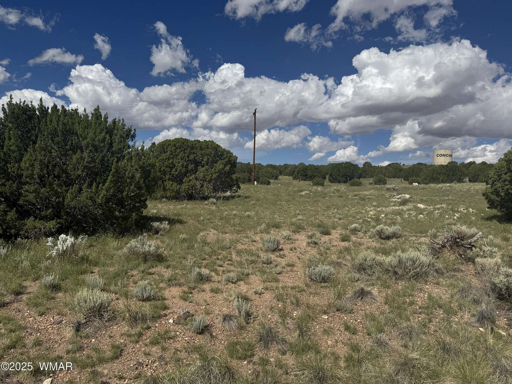 0.34 Acres of Residential Land for Sale in Concho, Arizona