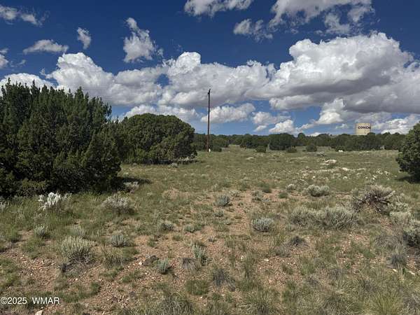 0.34 Acres of Residential Land for Sale in Concho, Arizona