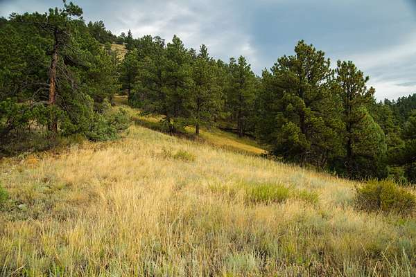 21 Acres of Recreational Land for Sale in Boulder, Colorado
