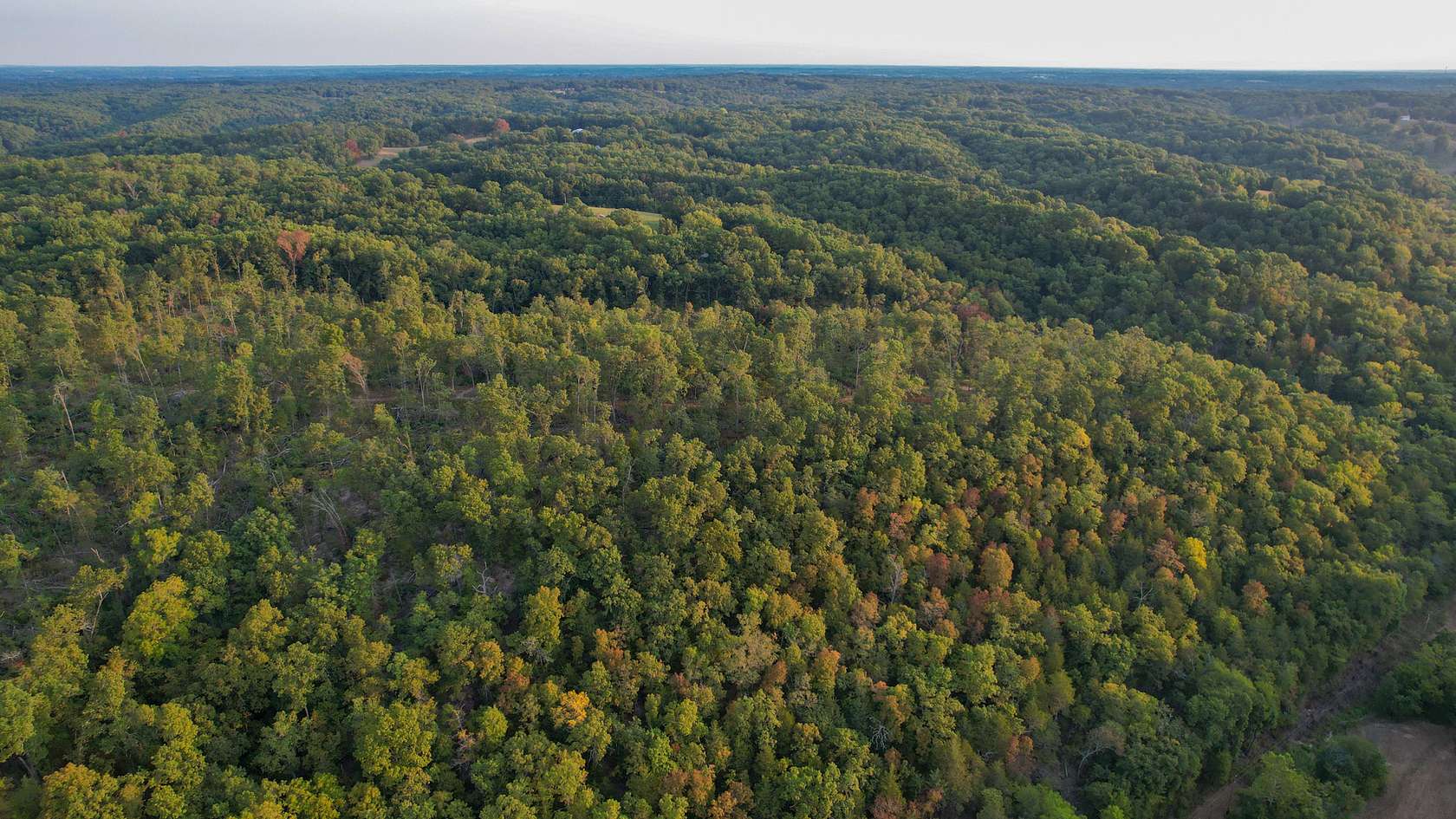 150 Acres of Recreational Land for Sale in Galena, Missouri