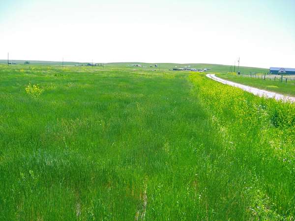 4.43 Acres of Residential Land for Sale in Smithwick, South Dakota