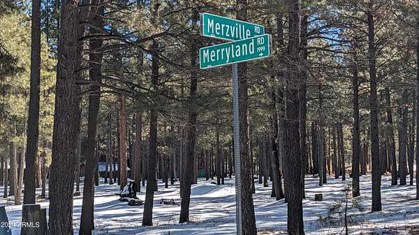 1 Acre of Residential Land for Sale in Forest Lakes Estates, Arizona