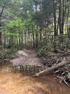 5.6 Acres of Residential Land for Sale in Jamestown, Tennessee