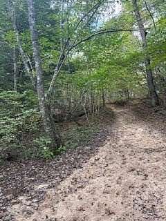 5.6 Acres of Residential Land for Sale in Jamestown, Tennessee