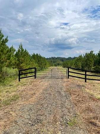 52.4 Acres of Land for Sale in Etoile, Texas