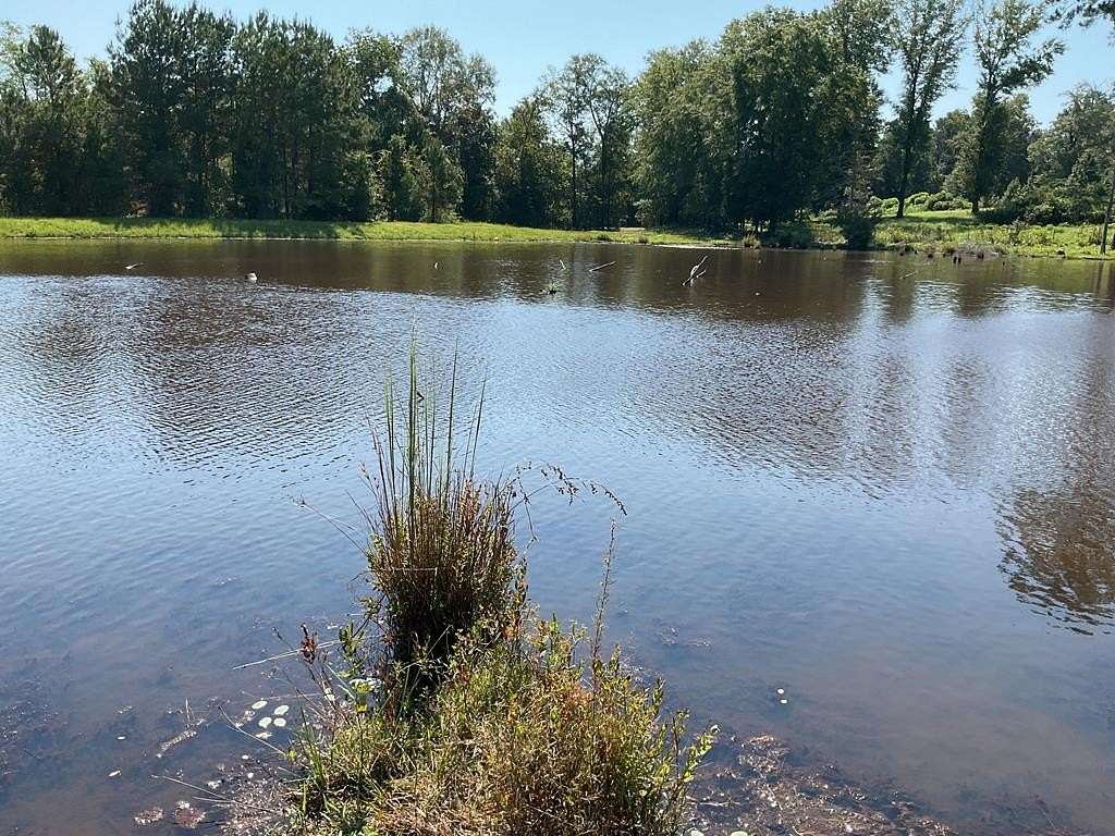 105 Acres of Land for Sale in Brundidge, Alabama